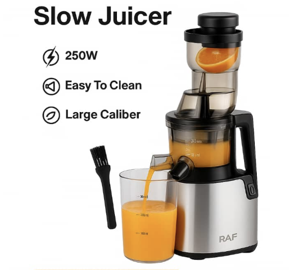Promotion  Ajouter Ajouté Slow Juicer RAF – Extracteur de Jus à Pression Lente 250W, 200 ml